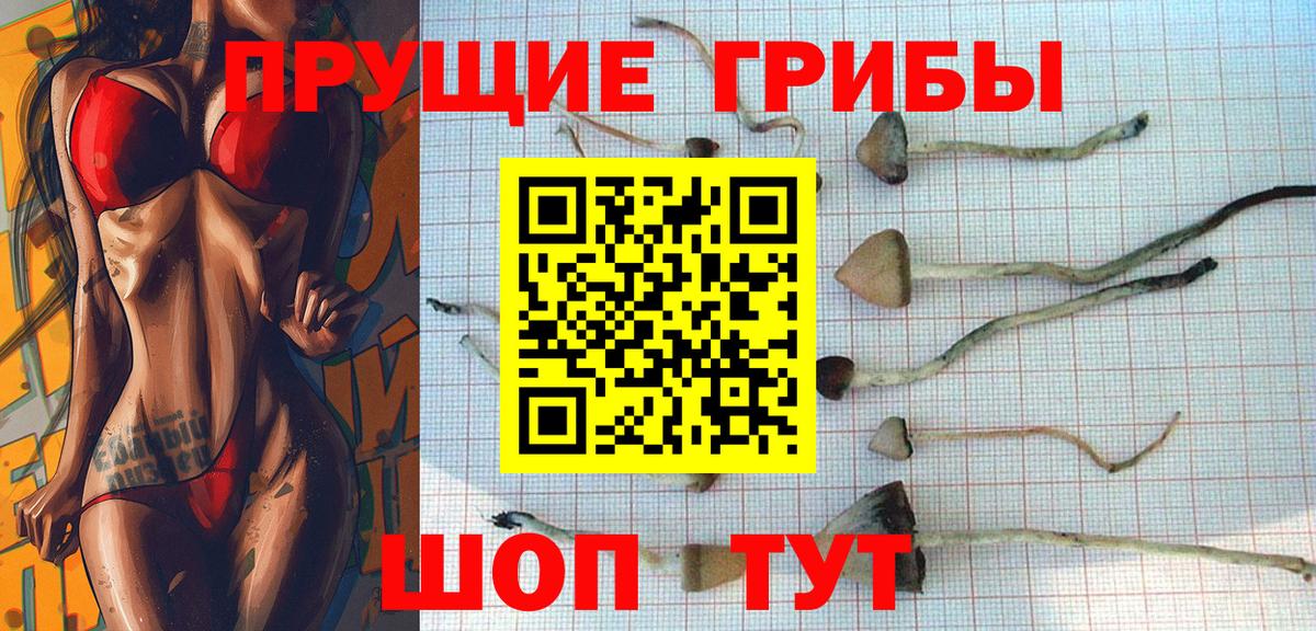 Галлюциногенные грибы прущие грибы Кубинка