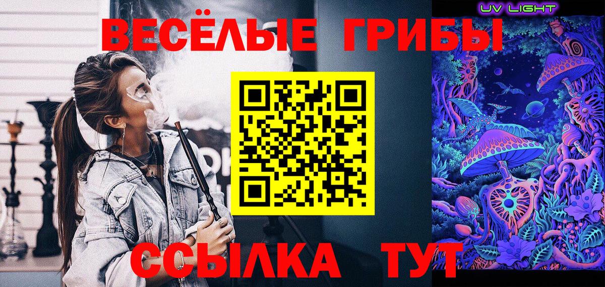 Галлюциногенные грибы Psilocybine cubensis  Псилоцибиновые грибы Psilocybe  Вход с VPN  Кубинка 